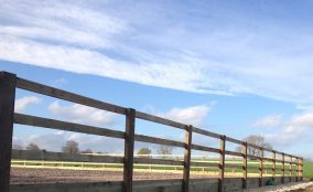 Post and rail fencing below blue sky