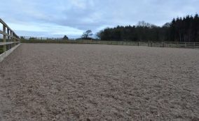 Sand and fibre riding arena surface