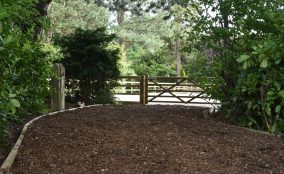 Wood Chip Access Road Leading Into Equestrian/Equine Riding Arena LocatedIn North Yorkshire With Timber Gate & Post And Rail Fence In View With Trees/Shrubs to the sides