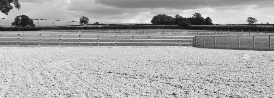 Shot of equestrian arena with sand surface and timber post & rail fenicng