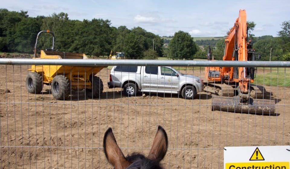 Horse looking through fence at equine arena construction