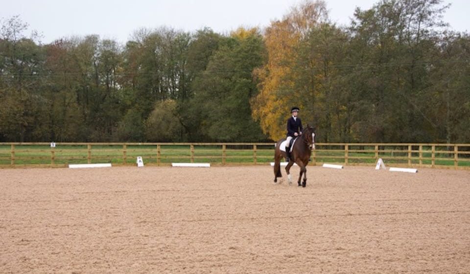 horse and rider in equine arena